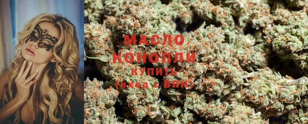 индика Армянск