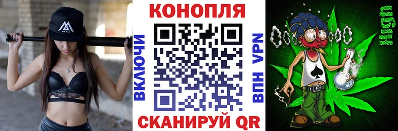 продажа наркотиков  МЕГА ссылки  Марихуана сатива  Пустошка 